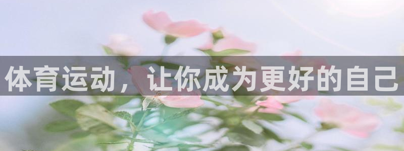 双赢平台4代理