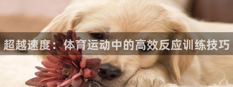 意昂集团