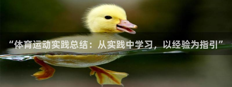 双赢平台招商