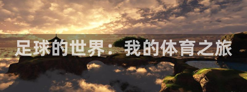 双赢平台体育3在线注册