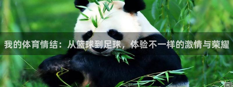 双赢平台体育f开户