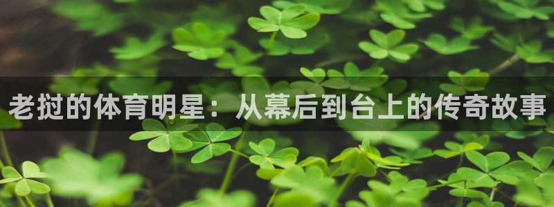 双赢平台招商