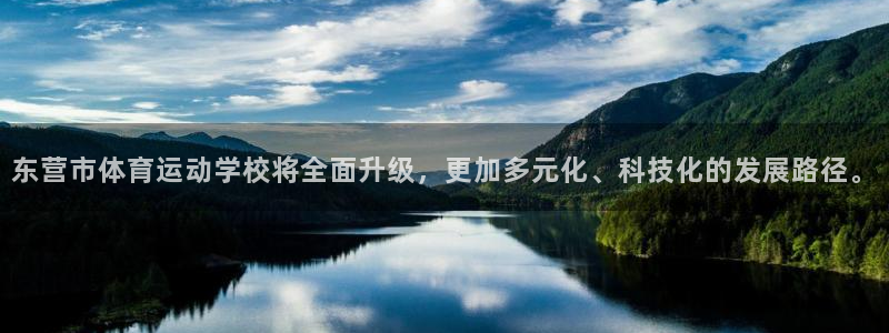 双赢平台体育4