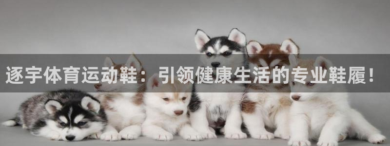 双赢平台2平台登录