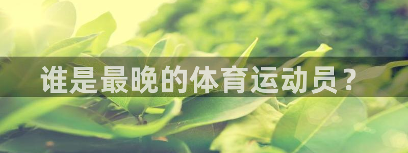 双赢平台平台总代理