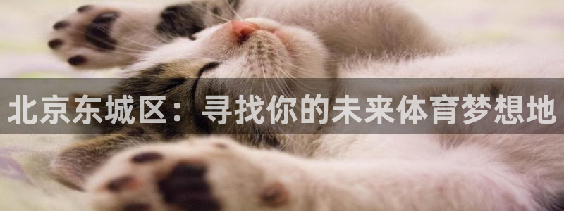 双赢平台体育凯捷平台注册