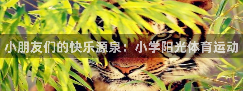 意昂kgame