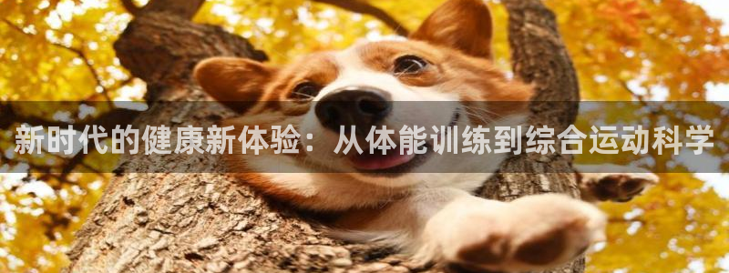 双赢平台体育app下载