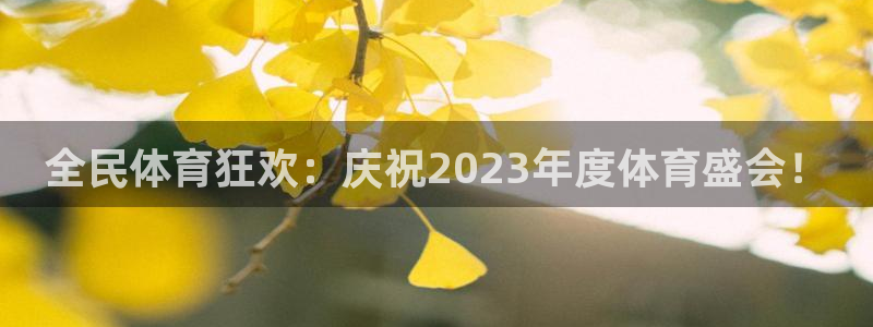 双赢平台集团
