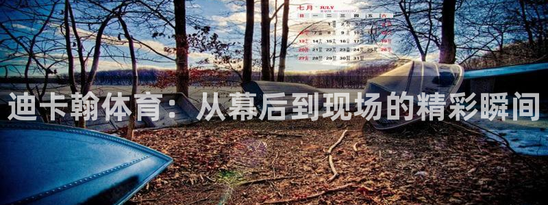 双赢平台3登录