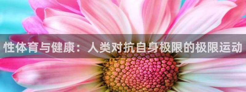 双赢平台3登录