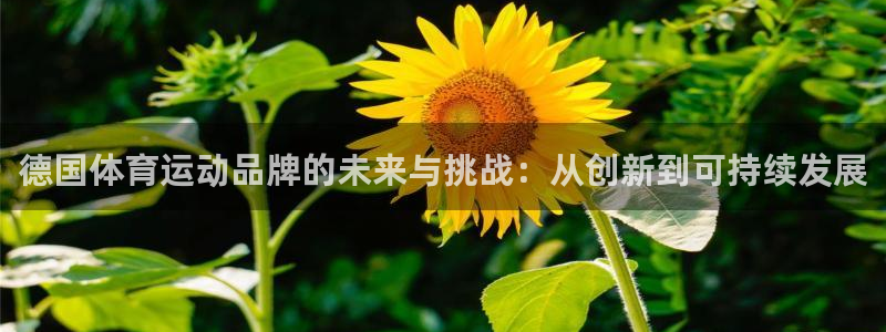 双赢平台2体育登录入口