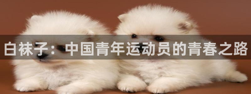 东莞市双赢平台电子科技有限公司