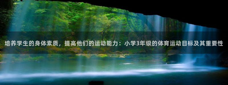双赢平台电子有限公司
